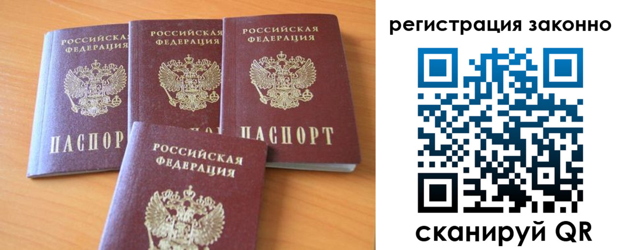 прописка законно в Могочи